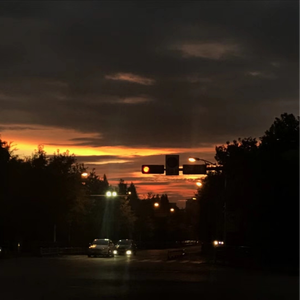 A级毛片免费看69影院
